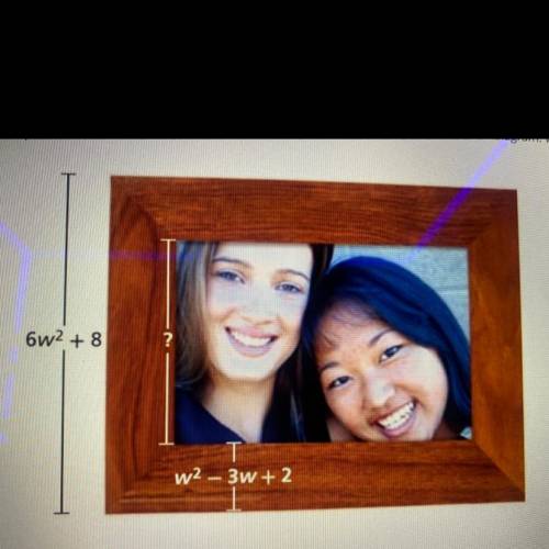 Photography: The measurements of a photo and its frame are shown in the diagram. Write a polynomial