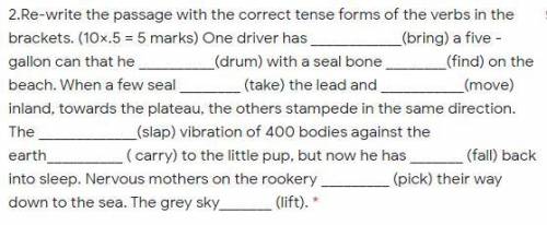 One driver has ____________(bring) a five -gallon can that he __________(drum) with a seal bone ___