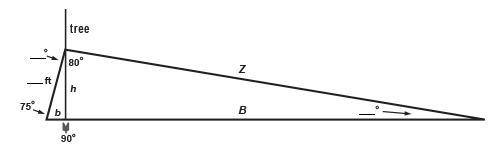 The distance between the base of the ladder and the base of the tree, b