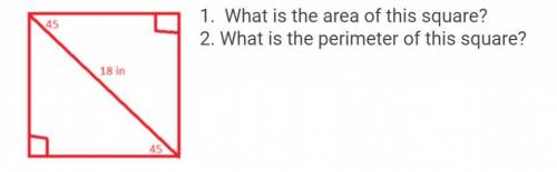 What is the area of this square? And what is the perimeter of this square?