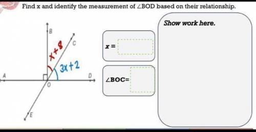 Find x and identify the measurement of