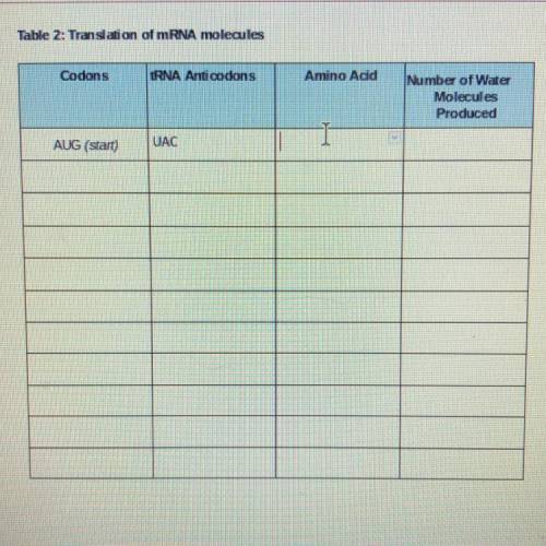 Table 2: Translation of mRNA molecules 
Please help me fill out the table