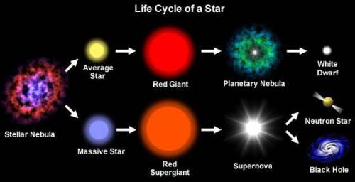 A. Discuss the stages of the star life cycle.
plis help me