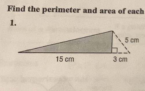 Find the AREA and PERIMETER of the triangle.

‼️ASAP‼️
PLS HELP + EXPLAIN!! Thx!