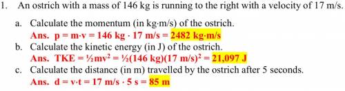 An ostrich with a mass of 146 kg is running to the right with a velocity of 17 m/s. Find the momentu