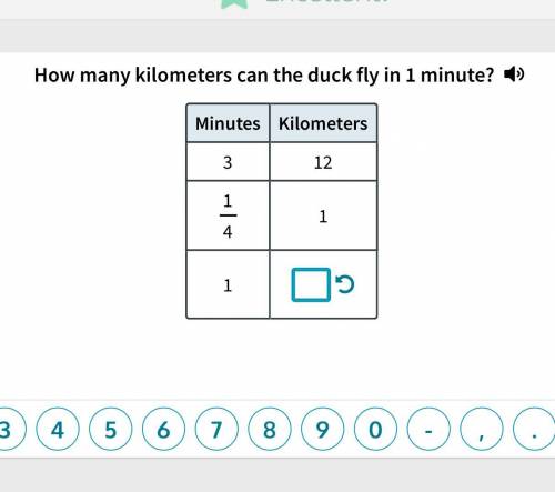 How many minutes does it take the duck to fly 1 kilometer?
Help and tysm