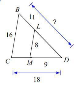 Find the missing length in units, The Triangles are similar