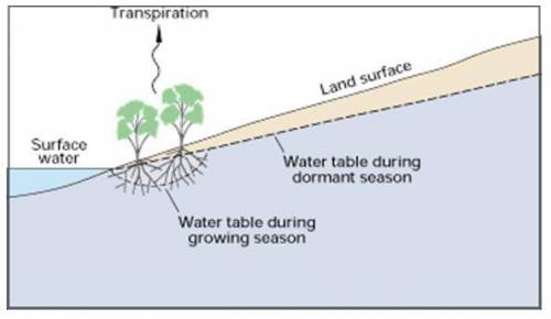 What is Evapotranspiration?

1 Evapotranspiration is defined as the water lost to the atmosphere f