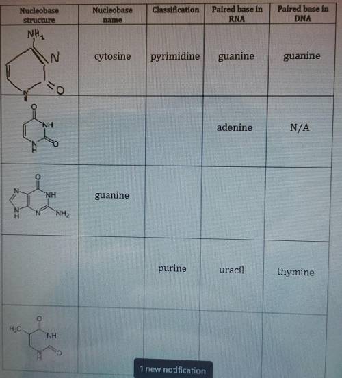NEED HELP WITH CHEM ! picture of what needs to be completed directions: complete the table