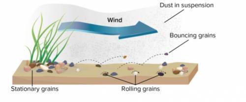 Guys help

On which Type of grains will the wind have the Greatest effect?
A. Suspended dust 
B. B