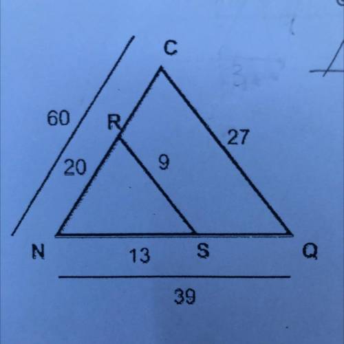 Determine similar triangles