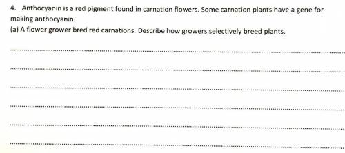 Can someone answer this small question in a few lines. 10 points.