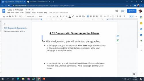 I NEED HELP PLZZZ

4.02 Democratic Government in Athens
For this assignment, you will write two pa
