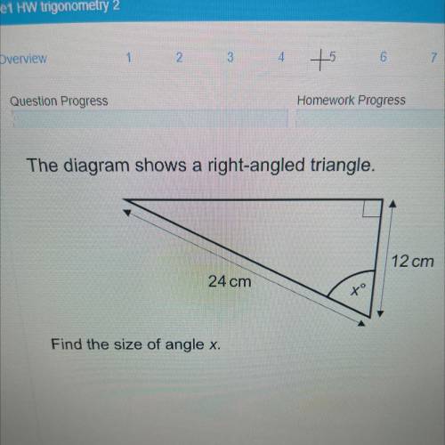 The diagram shows a right-angled triangle.
a
12 cm
24 cm
Find the size of angle x.