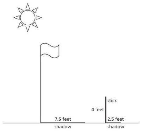 Use the diagram below to determine the height of the flagpole.

Height of flagpole = 
Scale factor