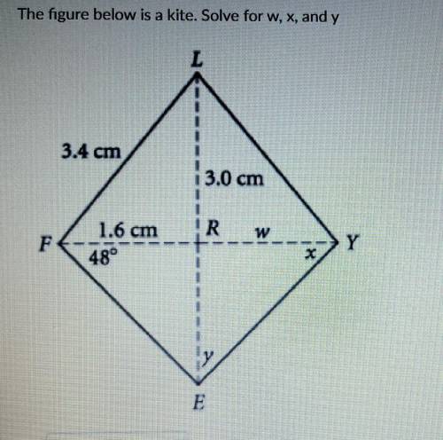HELPPPPPPPPPPPPPPPPP Solve for w x and y