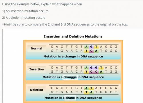 Using the example below, explain what happens when

1) An insertion mutation occurs
2) A deletion