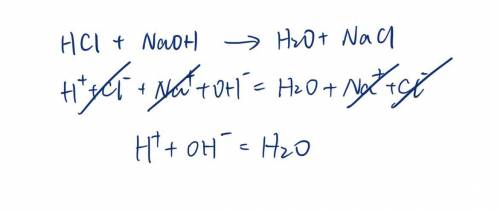 . A strong acid, HCl, is titrated with a strong base, NaOH. Write the net ionic equation for the rea
