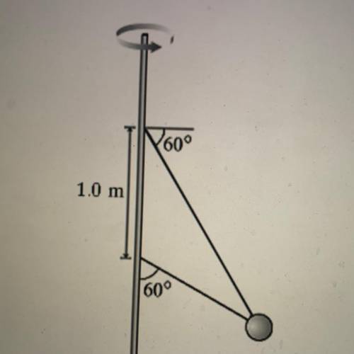 The figure shows two wires tied to a 3.9 kg sphere that revolves in a horizontal circle at constant