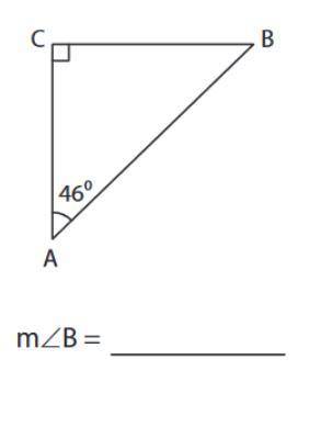 Find the measure of the indicated angle in each triangle.

Question 2 options:
44
180
90
136