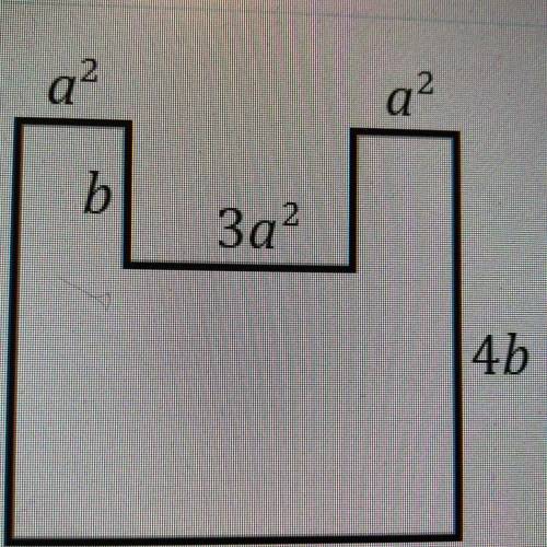 Find the area and perimeter.
A^2 b 3a^2 a^2 4b