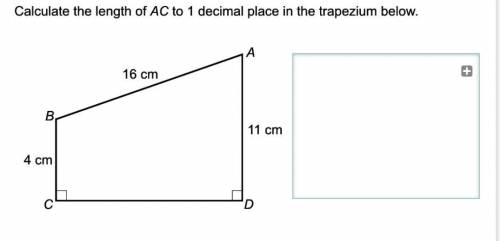 Calculate the length of AC to 1 decimal place in the trapezuim below