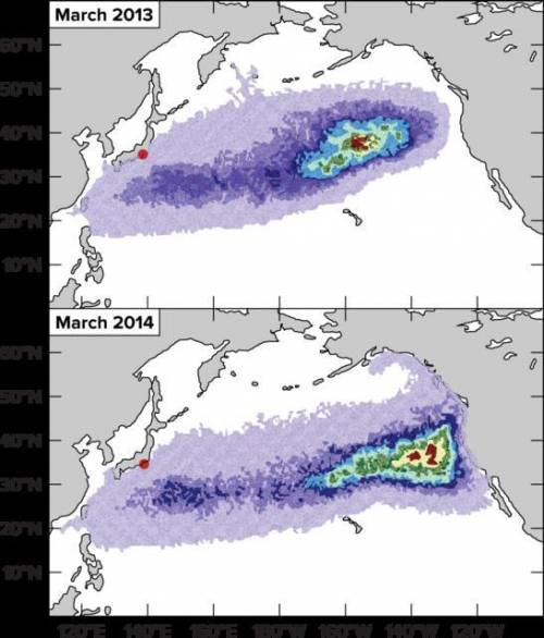 The figures show the predicted path of the debris two years after the tsunami (2013) and three year