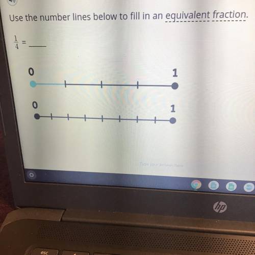 Use the number lines below to fill in an equivalent fraction.
1/4
