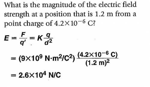 What is the magnitude of the electric field strength at a position that is 1.2 m from a point charge
