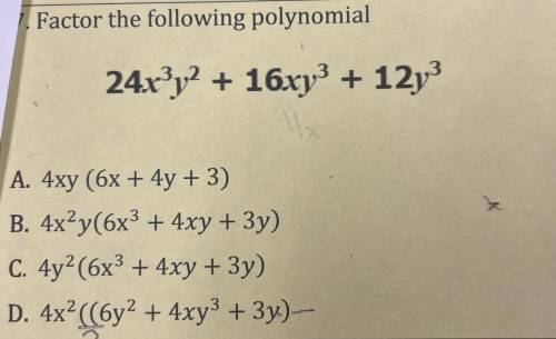 HELP FAST PLEASE!!
Factor the following polynomial