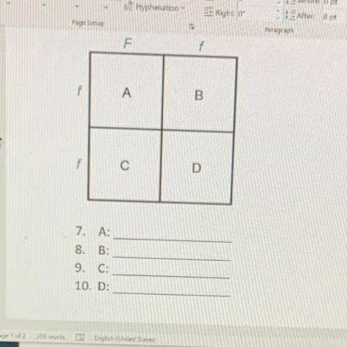 What does the letter a b c and d represent in the punnet square