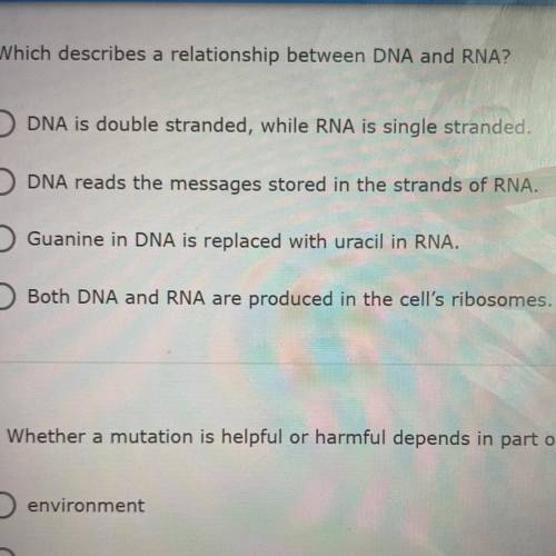 Which describes a relationship between DNA and RNA￼?