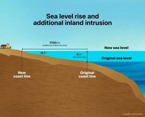 What is mean by Sea Level?