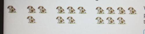 what is the pattern rule for the number of puppies(www.visualpatterns.org) in figure 'n' given th