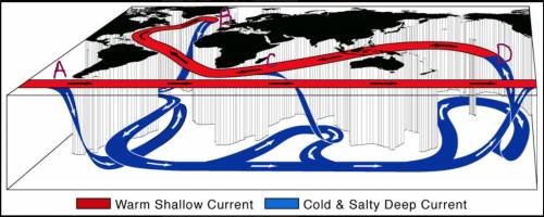 WILL GIVE BRAINLIEST / Dora was asked to label the upwelling and downwelling locations on this map