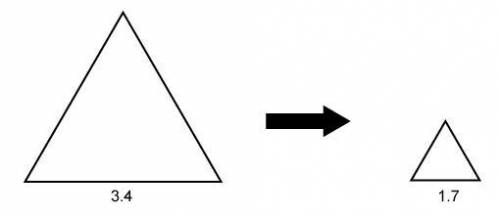 HELP ASAP PLEASE!!

Does this image show an enlargement or a reduction?An equilateral triangle wit