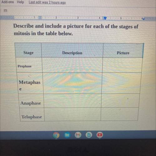 Describe and include a picture for each of the stages of mitosis in the table below￼