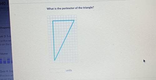 What's the perimeter of this triangle