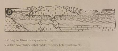 1. Explain how you knew that rock layer E came before rock layer C.
