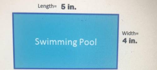 SCALE DRAWING: An architect made this drawing to represent a

swimming pool. The actual length of