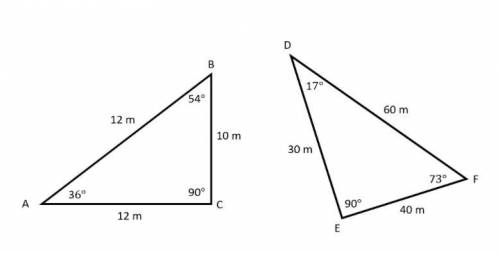 Are these shapes similar? Choose all that apply.

No, the corresponding angles are not congruent.