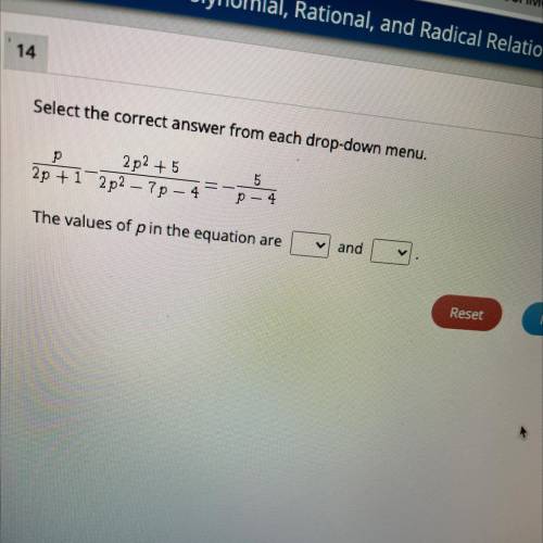 What are the values of P?