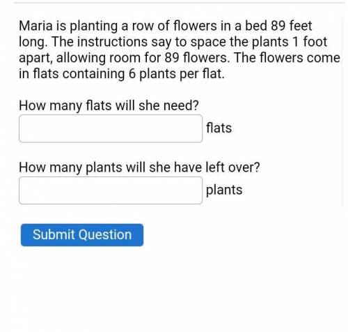 I wanted to know what is the answer