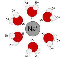 Shown below is an ion from a salt molecule.

Which statement best explains the event? This is hydr